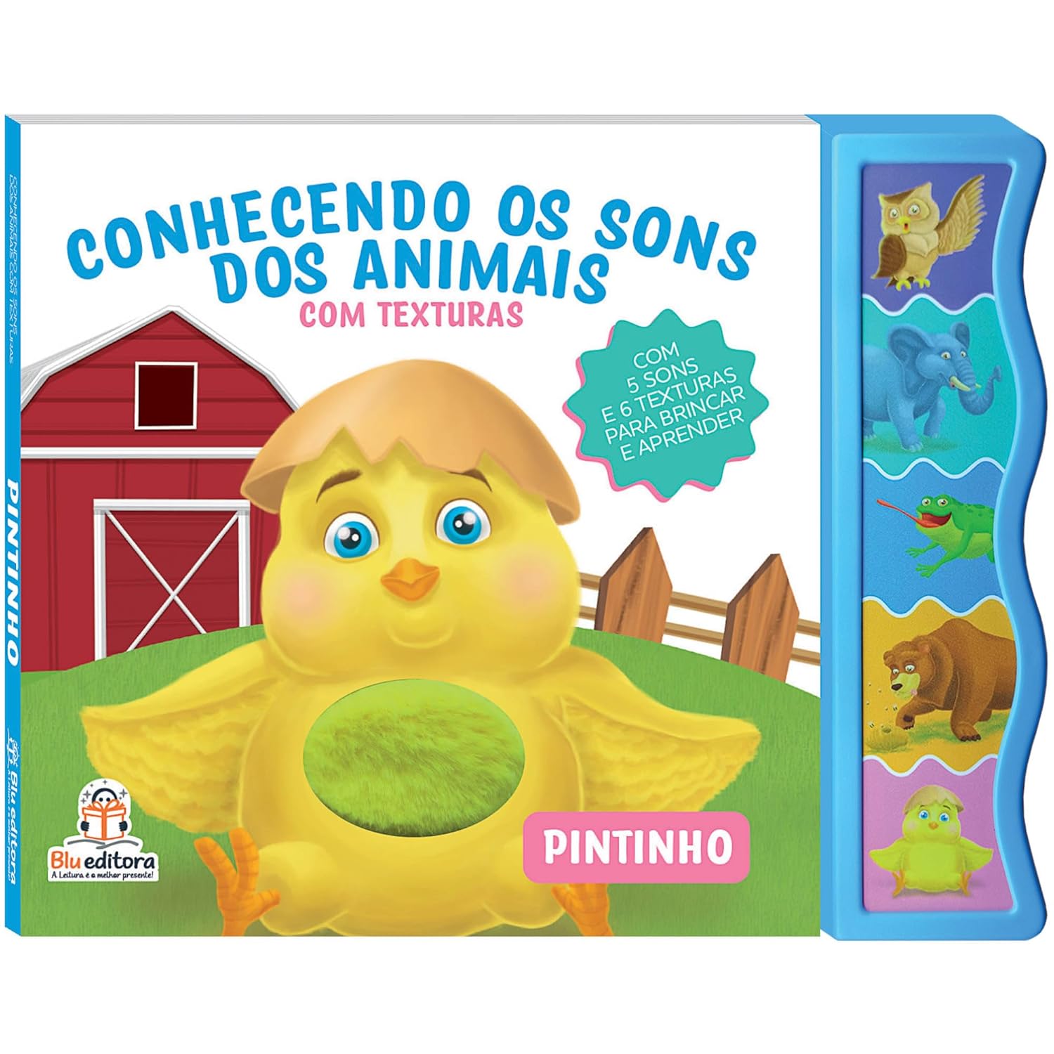 BLU EDITORA - CONHECENDO OS SONS COM TEXTURAS - PINTINHO