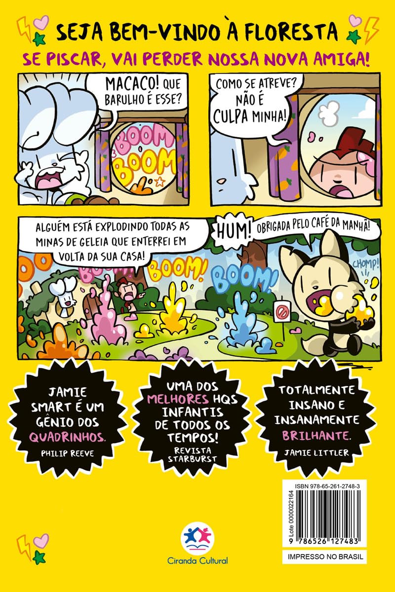 CIRANDA CULTURAL - COELHO VS MACACO E A AYE-AYE - Imagem 2