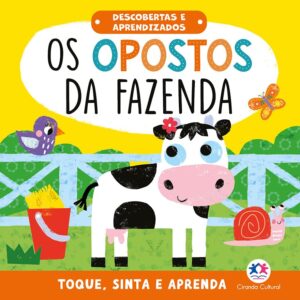 CIRANDA CULTURAL - DESCOBERTAS E APRENDIZADOS - FAZENDA