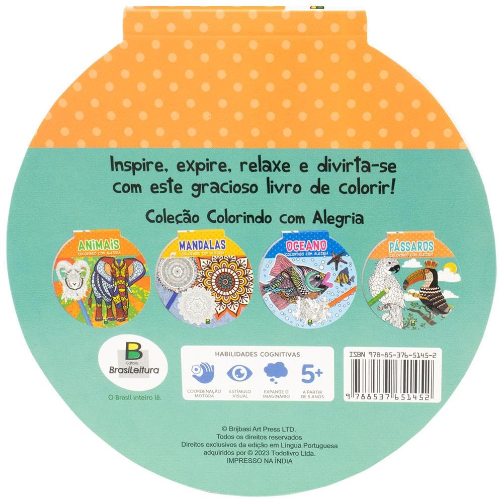 TODOLIVRO - COLORINDO COM ALEGRIA - PASSAROS - Imagem 2