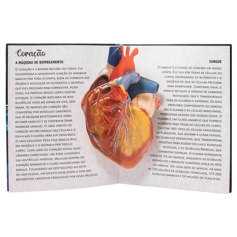 TODOLIVRO - ENGENHOSOS POP-UPS: CORPO HUMANO - Imagem 4