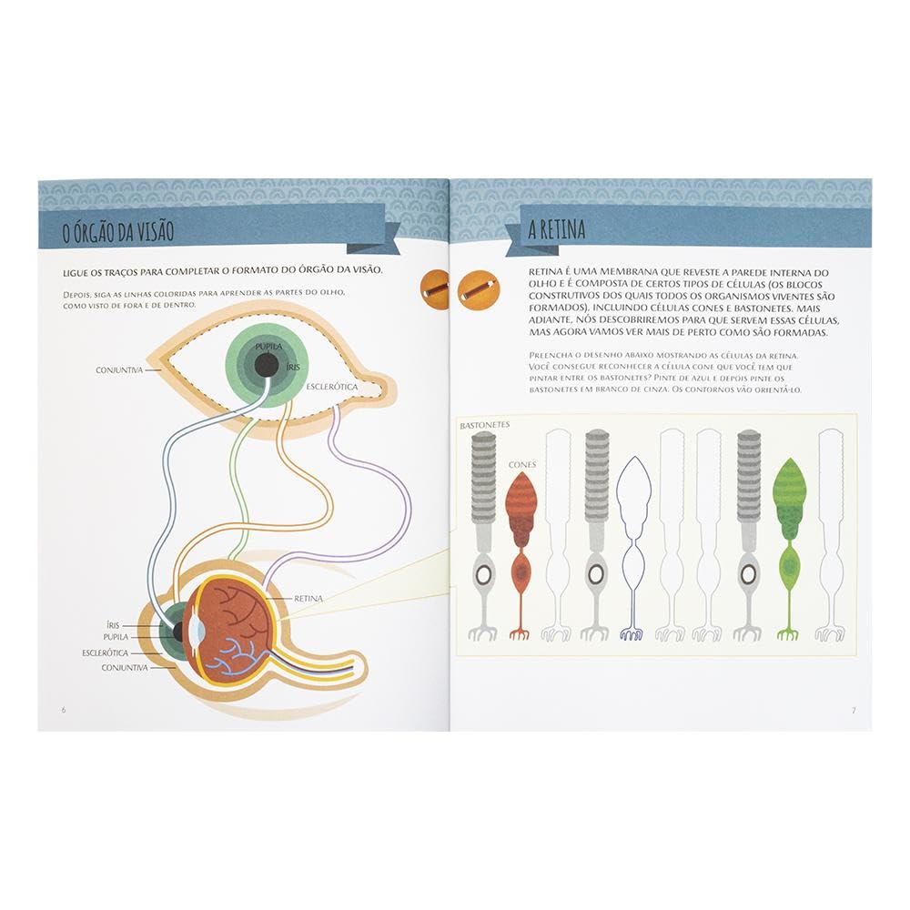 TODOLIVRO - ESCOLINHA MONTESSORI MEU P LIVRO ATIVIDADES - CINCO SENTIDOS - Imagem 4