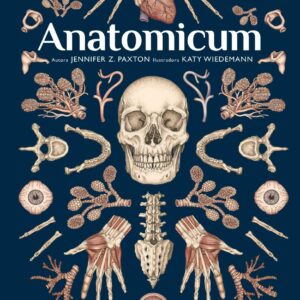 CIRANDA CULTURAL - MARAVILHAS DO MUSEU - ANATOMICUM