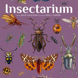 CIRANDA CULTURAL - MARAVILHAS DO MUSEU - INSECTARIUM