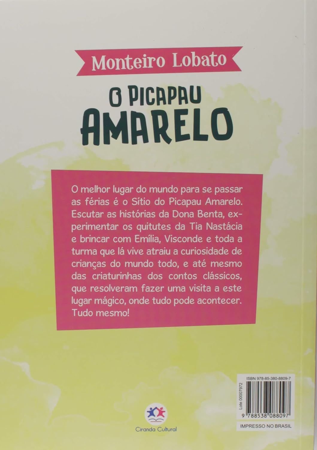 CIRANDA CULTURAL - MONTEIRO LOBATO - PICAPAU AMARELO - Imagem 2