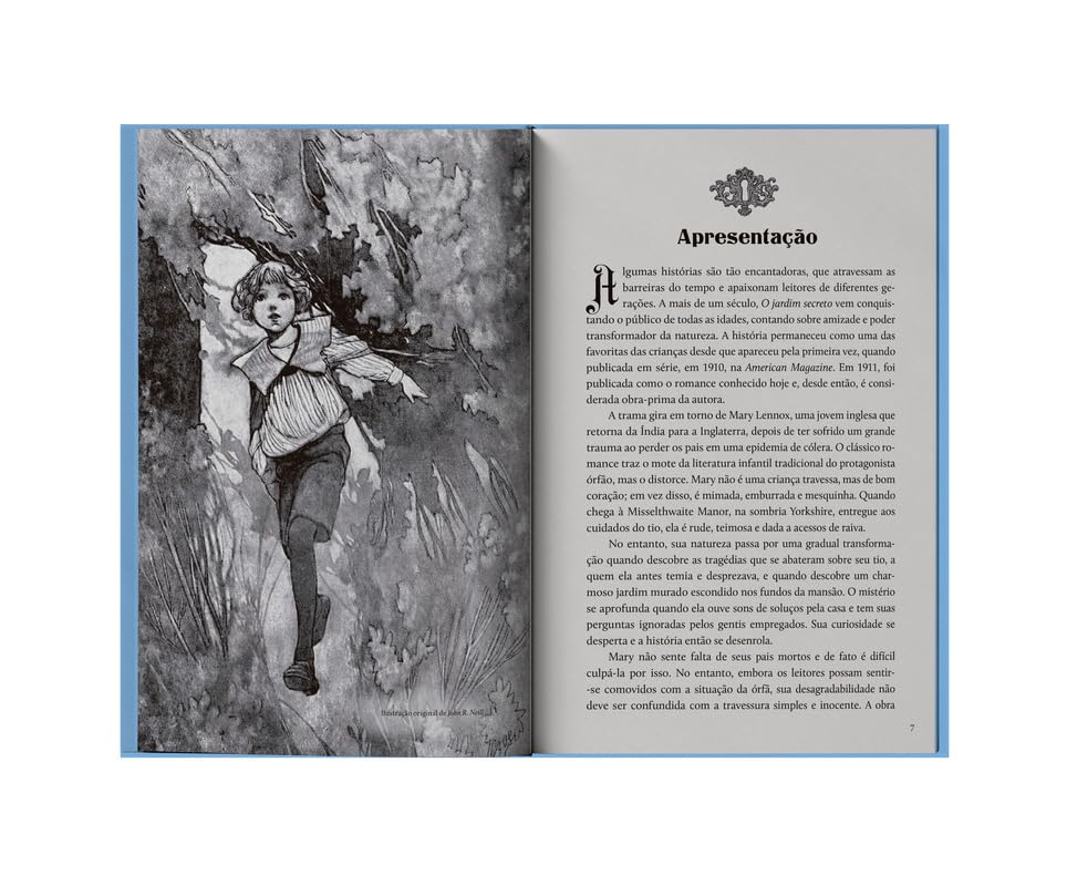 CIRANDA CULTURAL - PANDORGA CAPA DURA - JARDIM SECRETO - Imagem 2