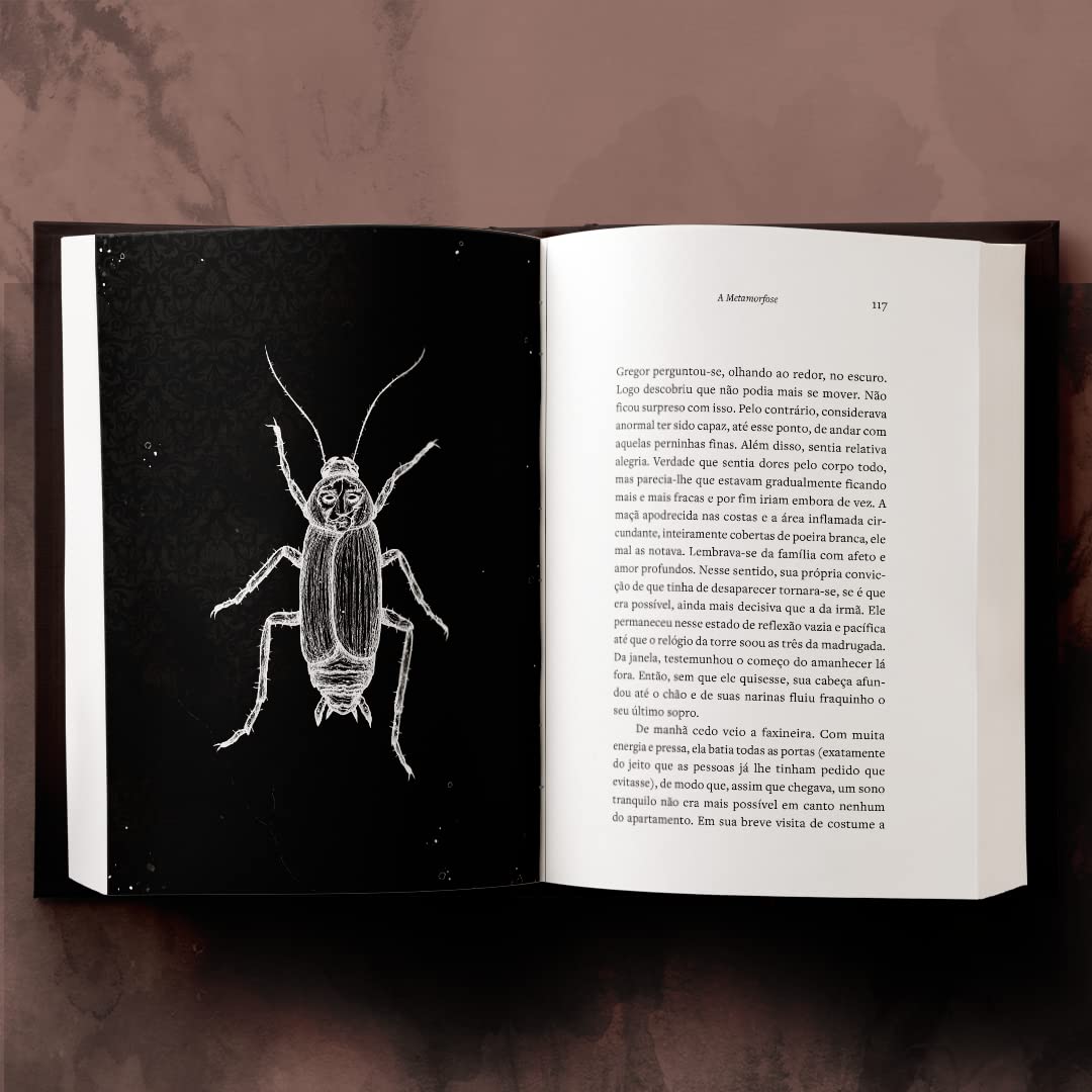 CIRANDA CULTURAL - PANDORGA CAPA DURA - METAMORFOSE - Imagem 2