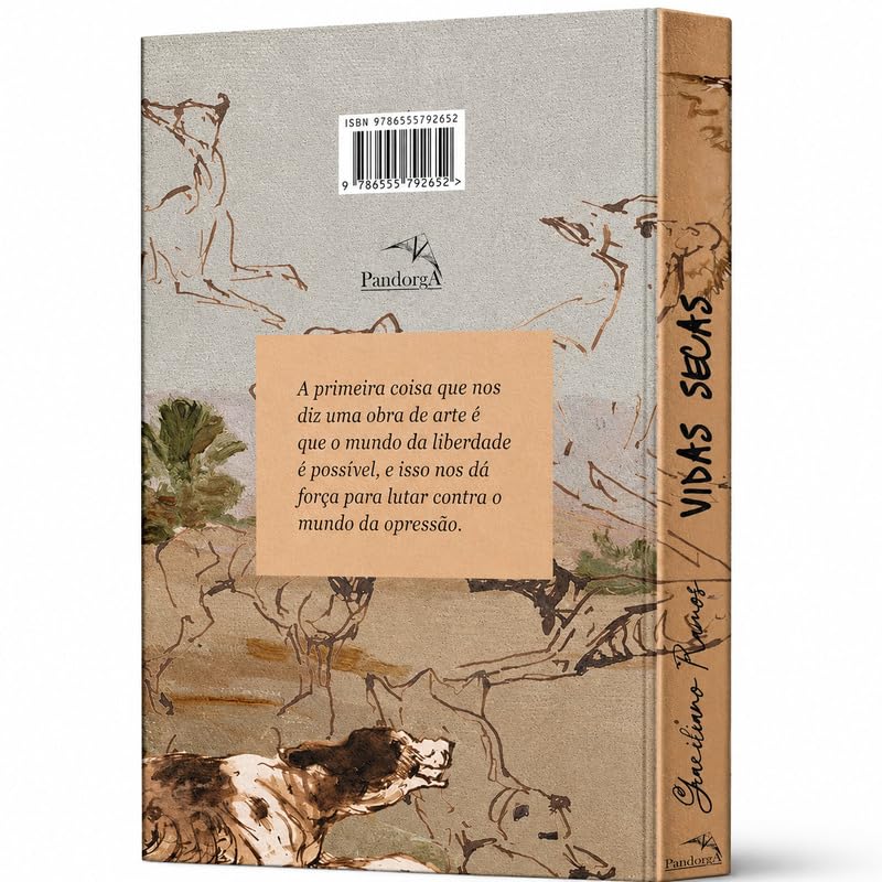 CIRANDA CULTURAL - PANDORGA CAPA DURA - VIDAS SECAS - Imagem 2