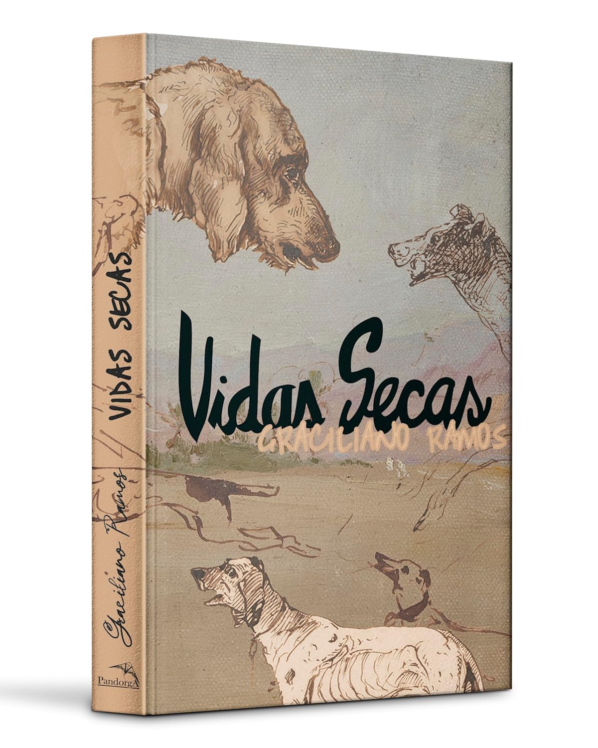 CIRANDA CULTURAL - PANDORGA CAPA DURA - VIDAS SECAS