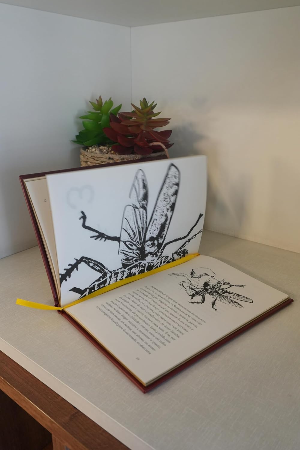 CIRANDA CULTURAL - LITERATURA (ALMOFADADO) - METAMORFOSE - Imagem 2