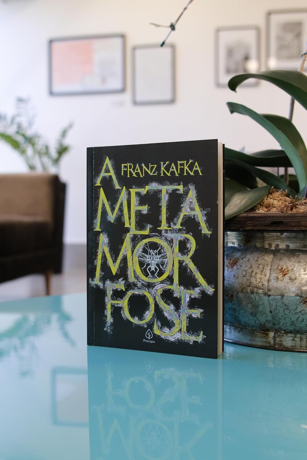 CIRANDA CULTURAL - LITERATURA - METAMORFOSE - Imagem 3