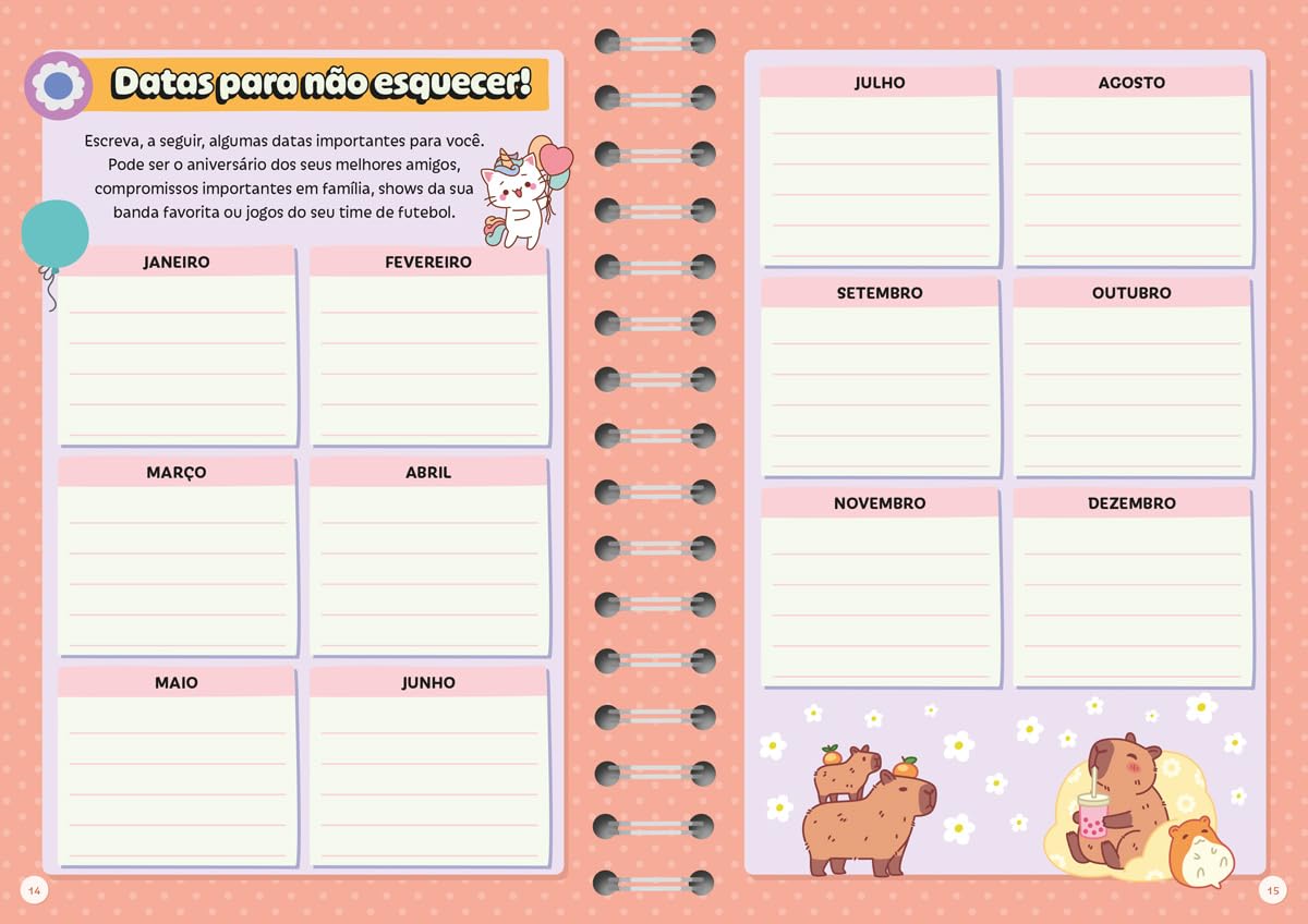 CIRANDA CULTURAL - MEU DIARIO COM PINS - KAWAII - Imagem 2