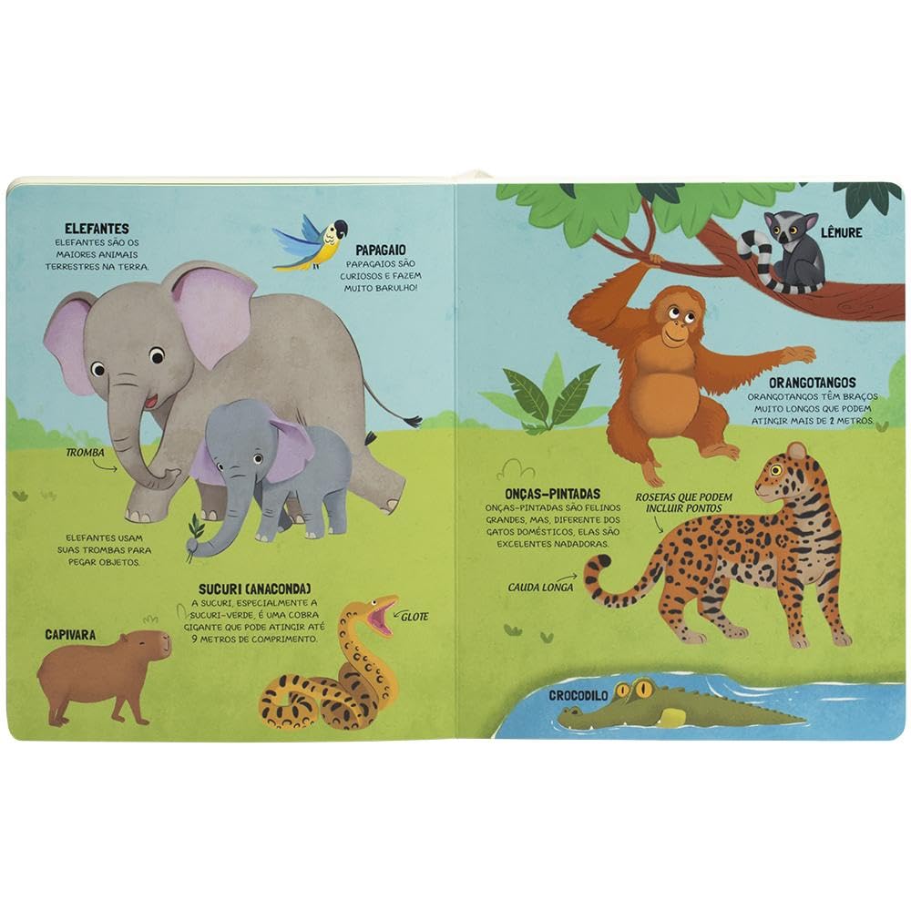 HAPPY BOOKS - VAMOS APRENDER SOBRE - ANIMAIS - Imagem 3