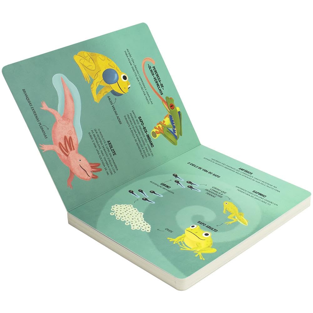 HAPPY BOOKS - VAMOS APRENDER SOBRE - ANIMAIS - Imagem 2