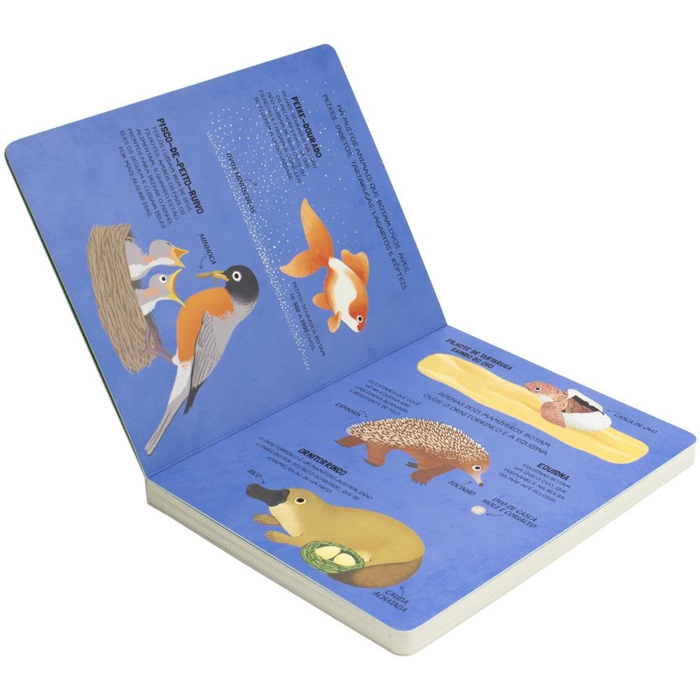HAPPY BOOKS - VAMOS APRENDER SOBRE - ANIMAIS - Imagem 4