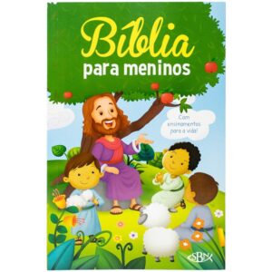 TODOLIVRO - PALAVRAS DE VIDA: BIBLIA PARA MENINOS